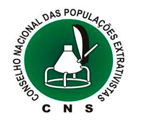 Logo Cns